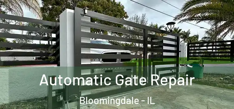 Automatic Gate Repair Bloomingdale - IL