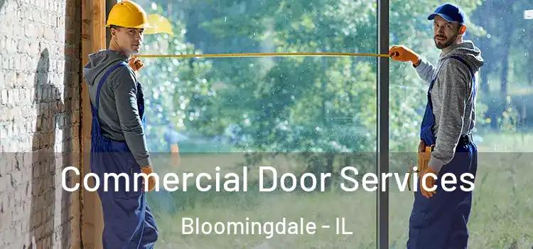 Commercial Door Services Bloomingdale - IL