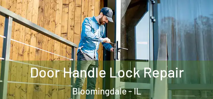 Door Handle Lock Repair Bloomingdale - IL