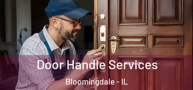 Door Handle Services Bloomingdale - IL