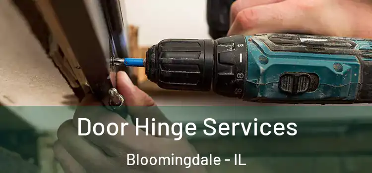 Door Hinge Services Bloomingdale - IL
