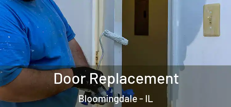 Door Replacement Bloomingdale - IL