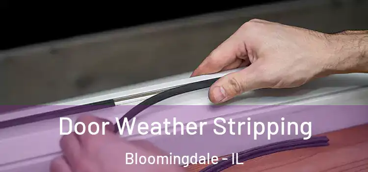 Door Weather Stripping Bloomingdale - IL