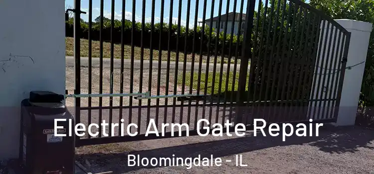Electric Arm Gate Repair Bloomingdale - IL