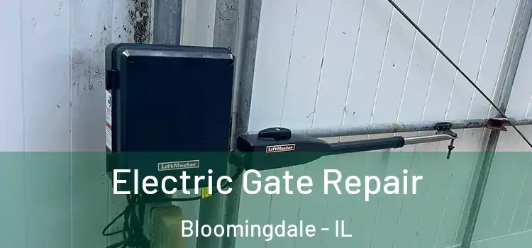Electric Gate Repair Bloomingdale - IL