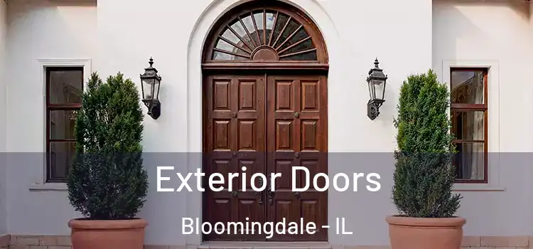 Exterior Doors Bloomingdale - IL