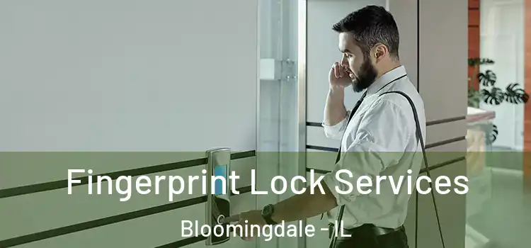 Fingerprint Lock Services Bloomingdale - IL
