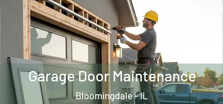 Garage Door Maintenance Bloomingdale - IL