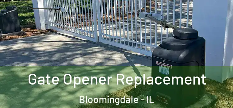Gate Opener Replacement Bloomingdale - IL
