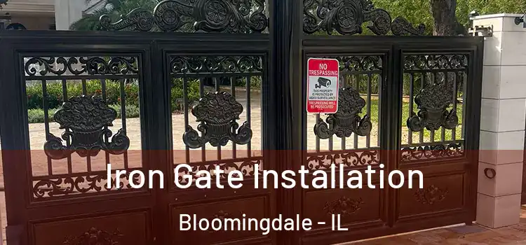 Iron Gate Installation Bloomingdale - IL