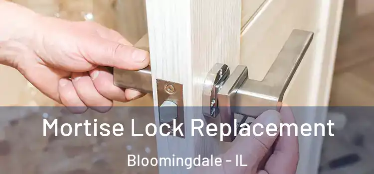 Mortise Lock Replacement Bloomingdale - IL