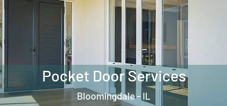 Pocket Door Services Bloomingdale - IL