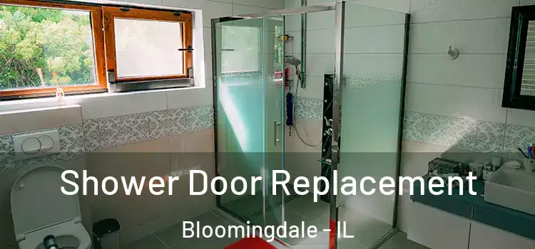 Shower Door Replacement Bloomingdale - IL