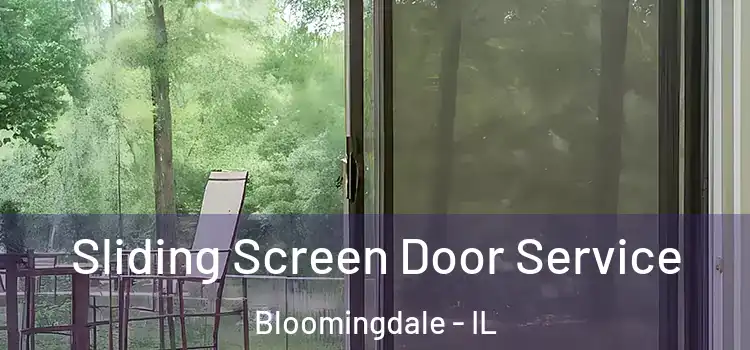 Sliding Screen Door Service Bloomingdale - IL