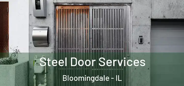 Steel Door Services Bloomingdale - IL