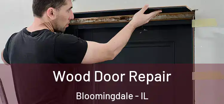Wood Door Repair Bloomingdale - IL